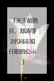 关于胡艳兵、郑涛等2名同志拟任职的公示