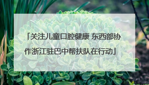 关注儿童口腔健康 东西部协作浙江驻巴中帮扶队在行动