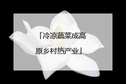 冷凉蔬菜成高原乡村热产业