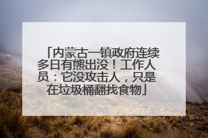 内蒙古一镇政府连续多日有熊出没！工作人员：它没攻击人，只是在垃圾桶翻找食物