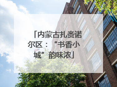 内蒙古扎赉诺尔区：“书香小城”韵味浓