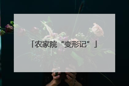 农家院“变形记”