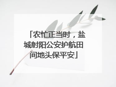 农忙正当时，盐城射阳公安护航田间地头保平安