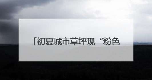 初夏城市草坪现“粉色小螺旋”，竟是兰花？ | 小叶子沪花记