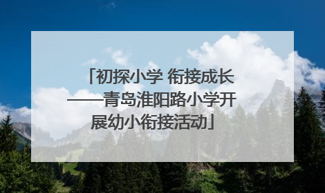 初探小学 衔接成长——青岛淮阳路小学开展幼小衔接活动