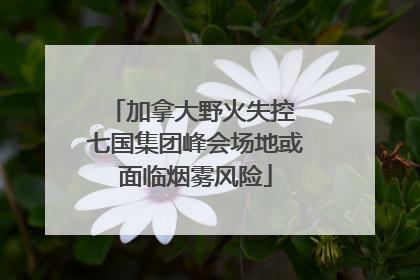 加拿大野火失控 七国集团峰会场地或面临烟雾风险