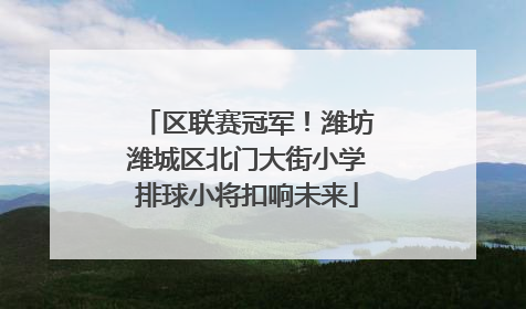 区联赛冠军！潍坊潍城区北门大街小学排球小将扣响未来