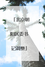北京朝阳区委书记调整