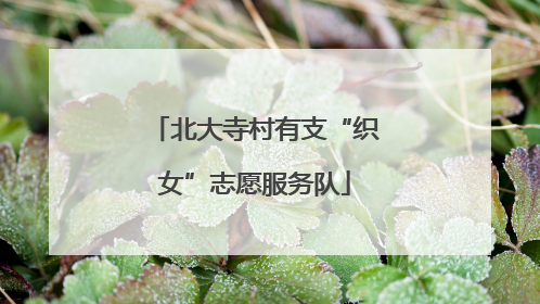 北大寺村有支“织女”志愿服务队