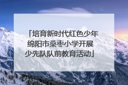 培育新时代红色少年 绵阳市桑枣小学开展少先队队前教育活动