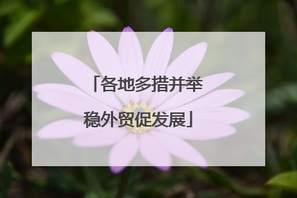 各地多措并举稳外贸促发展