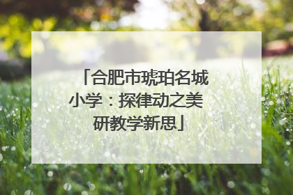 合肥市琥珀名城小学：探律动之美 研教学新思
