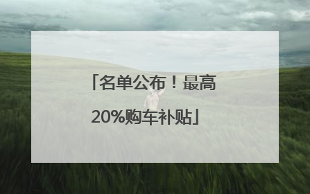 名单公布！最高20%购车补贴