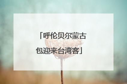 呼伦贝尔蒙古包迎来台湾客
