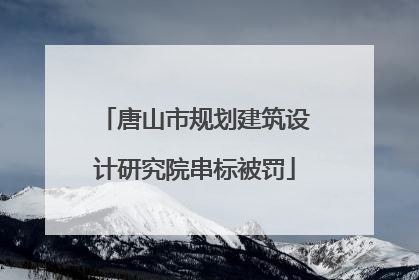唐山市规划建筑设计研究院串标被罚