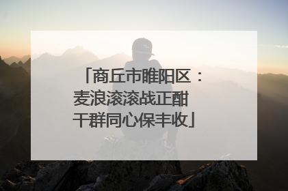 商丘市睢阳区：麦浪滚滚战正酣 干群同心保丰收