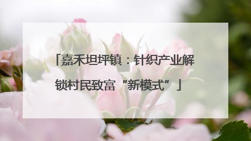 嘉禾坦坪镇：针织产业解锁村民致富“新模式”