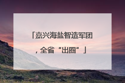 嘉兴海盐智造军团，全省“出圈”