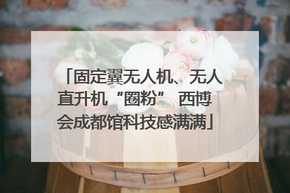 固定翼无人机、无人直升机“圈粉” 西博会成都馆科技感满满