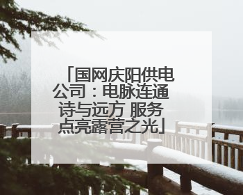 国网庆阳供电公司：电脉连通诗与远方 服务点亮露营之光