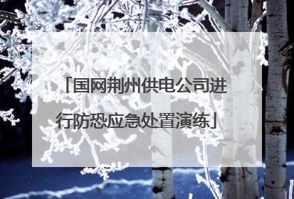 国网荆州供电公司进行防恐应急处置演练