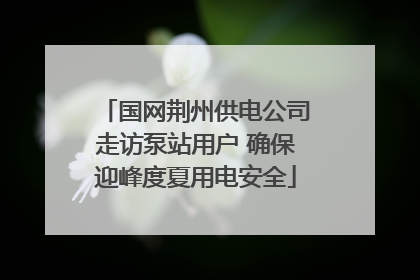 国网荆州供电公司走访泵站用户 确保迎峰度夏用电安全