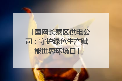国网长泰区供电公司：守护绿色生产赋能世界环境日