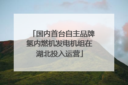 国内首台自主品牌氢内燃机发电机组在湖北投入运营