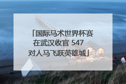 国际马术世界杯赛在武汉收官 547对人马飞跃英雄城