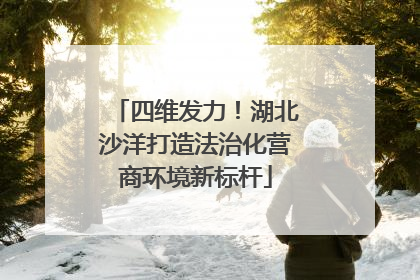 四维发力！湖北沙洋打造法治化营商环境新标杆
