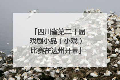 四川省第二十届戏剧小品（小戏）比赛在达州开幕