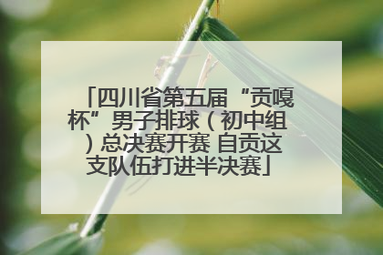 四川省第五届“贡嘎杯”男子排球（初中组）总决赛开赛 自贡这支队伍打进半决赛