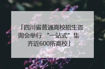 四川省普通高校招生咨询会举行 “一站式”集齐近600所高校