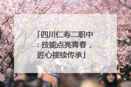 四川仁寿二职中：技能点亮青春，匠心接续传承