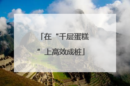 在“千层蛋糕”上高效成桩
