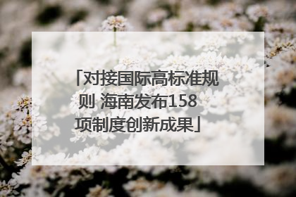 对接国际高标准规则 海南发布158项制度创新成果