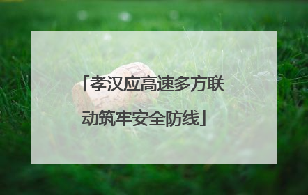 孝汉应高速多方联动筑牢安全防线