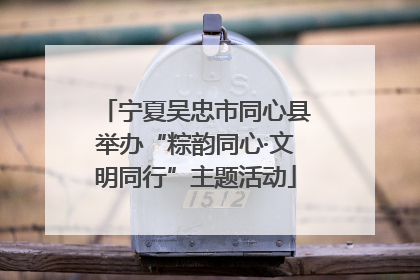 宁夏吴忠市同心县举办“粽韵同心·文明同行”主题活动