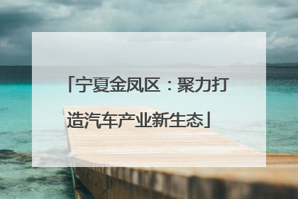 宁夏金凤区：聚力打造汽车产业新生态