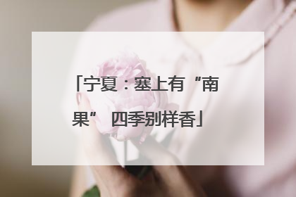 宁夏：塞上有“南果” 四季别样香