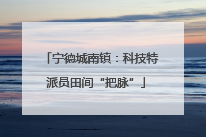 宁德城南镇：科技特派员田间“把脉”