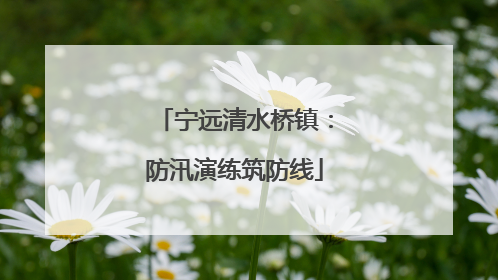 宁远清水桥镇：防汛演练筑防线