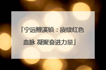 宁远鲤溪镇：赓续红色血脉 凝聚奋进力量