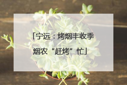 宁远：烤烟丰收季 烟农“赶烤”忙