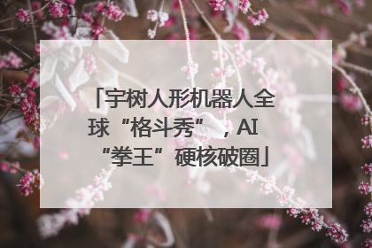 宇树人形机器人全球“格斗秀”，AI“拳王”硬核破圈