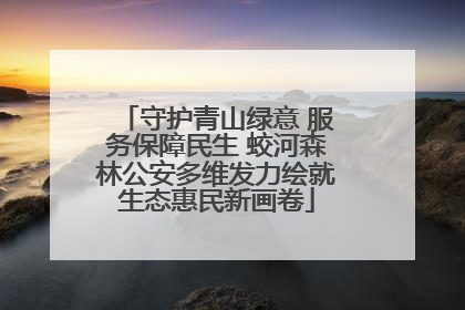 守护青山绿意 服务保障民生 蛟河森林公安多维发力绘就生态惠民新画卷
