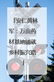 安仁黄林军：万亩药材基地铺就乡村振兴路
