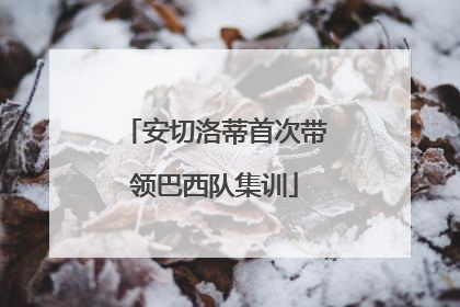 安切洛蒂首次带领巴西队集训