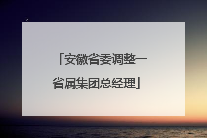 安徽省委调整一省属集团总经理