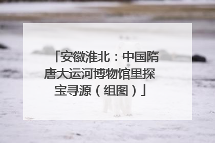 安徽淮北：中国隋唐大运河博物馆里探宝寻源（组图）